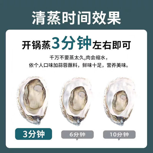 Fresh Rushan oysters, fresh oysters, 5 Jin Jin equal to 0.5 kg box, 4XL large oysters (9-14 pieces per box), net weight 5 Jin Jin, equal to 0.5 kg oysters