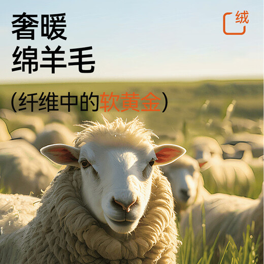 Odyfen wool knitted bottoming shirt for women with half-turtleneck sweater, slim long-sleeved, mid-collar, wearable top, autumn and winter black