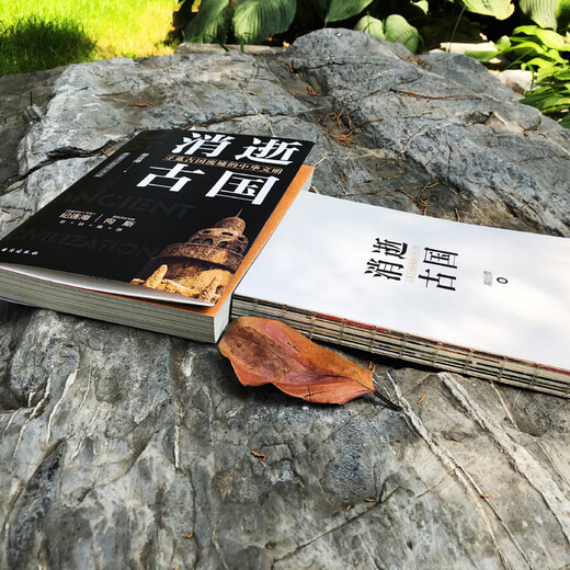 Reconnaissez l'authentique pays antique, la série nationale de trésors, les livres recommandés par l'enseignant Ji Lianhai, les livres d'histoire tels que Loulan Kingdom, Kucha Kingdom, Xixia, etc., la lecture parascolaire du lycée junior et senior, SN6225
