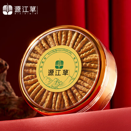 Yuanjiang grass cordyceps high altitude new dried cordyceps gift box dry goods nutritional supplements for leaders and elders 2-3/g 10g red gift box