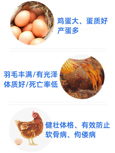 Wing Fantasy Super Concentrated Vitamin Powder Veterinary Multidimensional Chicken, Duck, Goose, Turtle, Pig, Cattle and Sheep Poultry Feed Premix Super Concentrated 500g*30 Bags (Full Box)