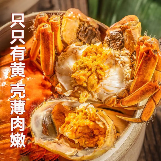 【礼盒装】公母对鲜活蟹黄世家兴化红膏大闸蟹当天发货次日达包邮 公3两+母2两 5对10只