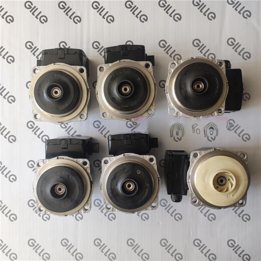 Gas wall-hung boiler German Wilo water pump original accessories motor motor 57 59 60 63 C model-60W-YYJ (imported new single motor)