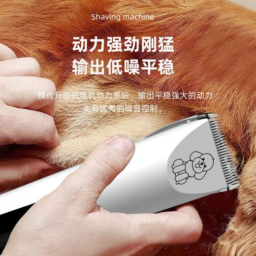 Pet shaver for trimming dogs and cats, electric hair clipper for dogs and cats, golden retriever Teddy pet hair clipper, luxury set (suitable for medium and large pets)