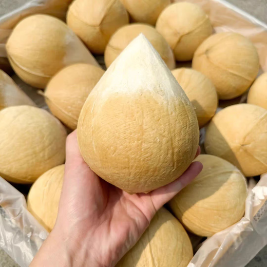 Imported from Thailand, milk-flavored Coconut King Dannen Saduo perfumed coconut chicken soup old coconut fresh fruit JD.com Thai Coconut King 9 pack high cost performance and free soft knife extra large fruit 500g-600g