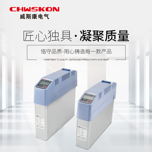 Viscon Electric SW-ZMG/450 series intelligent integrated power capacitor reactive power compensation device common compensation type SW-ZMG/450-30+30