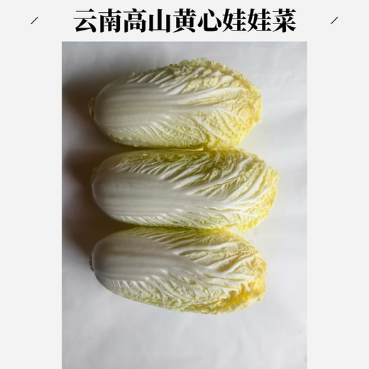 Yunnan high mountain fresh baby cabbage salad vegetables breakfast vegetables and fruits freshly harvested fresh baby cabbage (3 plants)*1 pack