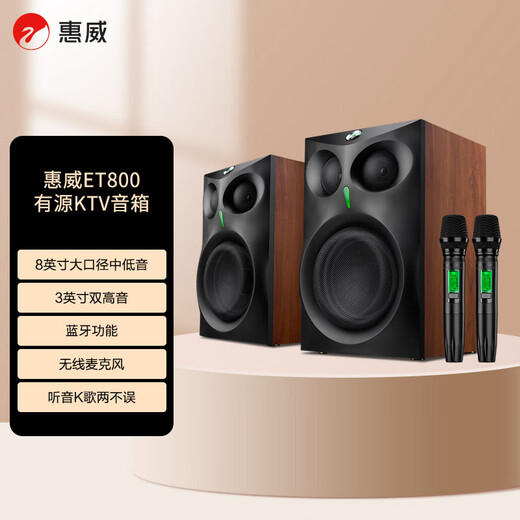 HiVi ET800 active KTV speaker home theater TV karaoke Bluetooth speaker with wireless microphone