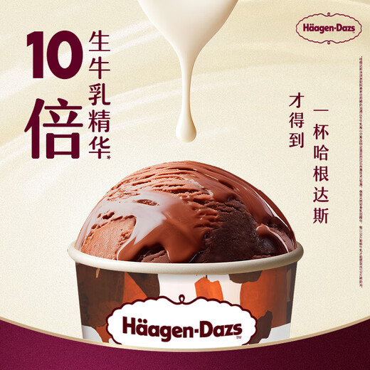 Haagen-Dazs classic chocolate flavor ice cream 2 cups sharing size 116g total