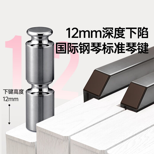 Beethostar Intelligent Portable Electric Piano 88-key Electronic Piano for Adults, Kindergarteners, Beginners, and Children for Professional Examination and Performance 88-Key Standard Edition Official Standard Configuration + Gift Bag + Piano Bag + X Piano Stand