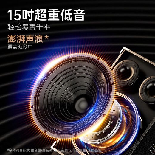 NINTAUS 15-inch square dance speaker, outdoor portable Bluetooth speaker, large volume and high power trolley speaker, karaoke professional equipment, removable with dual microphones N12-22