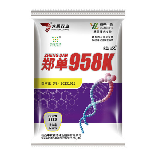 Zhuanghan Transgenic Academy of Agricultural Sciences Corn Seeds Upgraded High-Yielding Insect-Resistant Sticks Lodging-Resistant Drought-Resistant Hard Grain Corn Seeds Insect-Resistant and Pest-Free 4200 Grains Genetically Modified Cap Good