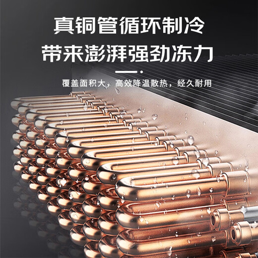 CHIGO commercial four-door refrigerator commercial freezer fruit and vegetable fresh cabinet catering hotel kitchen refrigerator commercial freezer large capacity copper tube commercial refrigerator -23 deep cold flagship 1560 liter six-door dual temperature upper freezer and lower refrigeration