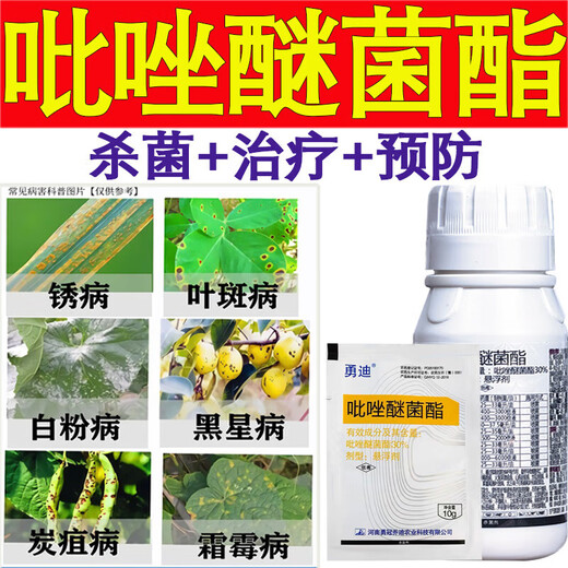 Pyraclostrobin 30% fungicide powdery mildew anthracnose apple tree brown spot vegetable genuine pesticide wholesale 1 bottle 100g