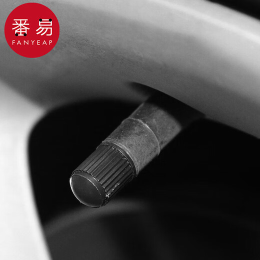 Tire valve cap bicycle tire valve car electric vehicle valve dust cover 6 valve caps