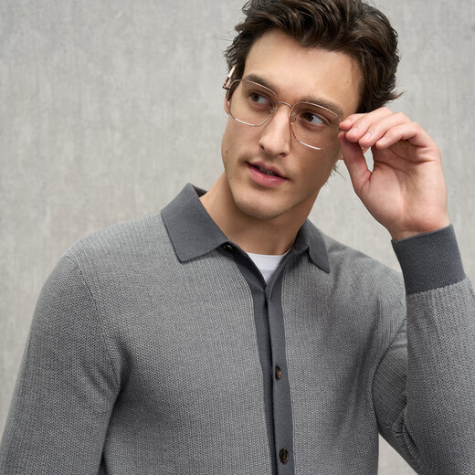 EMZ Ordos 100% mercerized Australian wool 7A antibacterial men's wool sweater autumn and winter commuting simple lapel