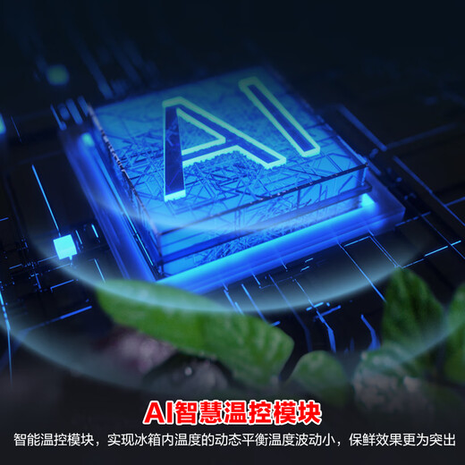 Ronshen sample machine 506WKK1FPGZA cross four-door glass panel IDP dual-purification active sterilization energy-saving odor-free refrigerator quality tail goods Mo Yunyan