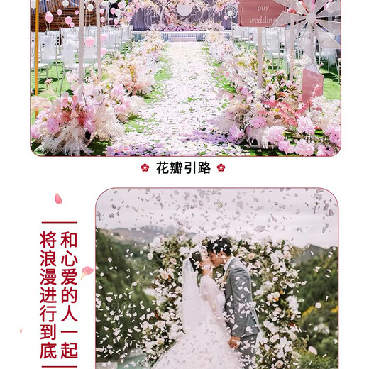 Dongzhitiandi simulated rose fake flower petals for wedding, wedding room, birthday confession, decoration, hand-spreading flowers, proposal, petal rain, simulated rose petals, milky white, about 1000 pieces