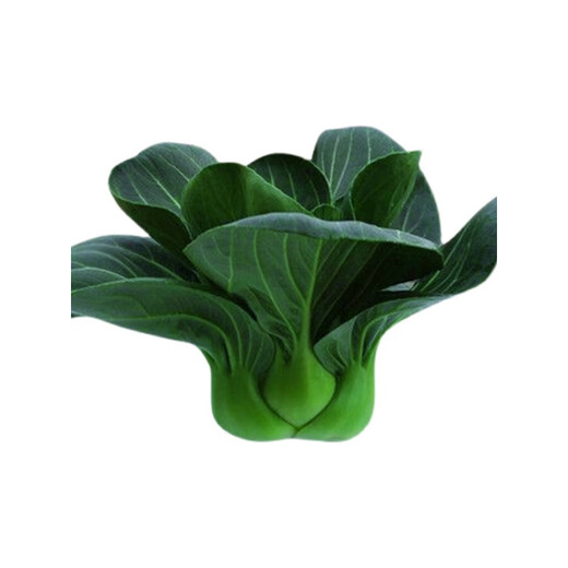 Карлик Сучжоу Цин Шанхай Цинцин стеблевые семена овощей черный лист рапса балкон семена овощей в горшках на четыре сезона четыре сезона черный лист Сучжоу зеленый 10 г 1 пакетик