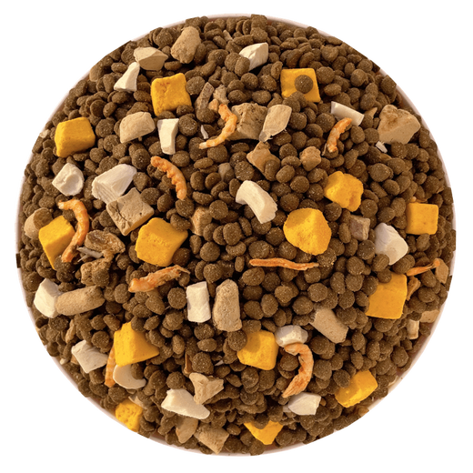 Good Master (CARE) try fresh meat freeze-dried cat food 10 Jin Jin equals 0.5 kg, affordable package for kittens, rural native cats, civet cats, stray cats, public welfare, enzymatic chicken and fish mixed double meat cat food (universal type) 5kg_10 Jin Jin equals 0.5 kg, affordable