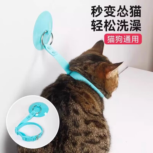 Cat and dog bath holder, anti-scratch, bite and struggle, bath nail clipper, pet supplies collection, pet bath holder - blue - 1 piece