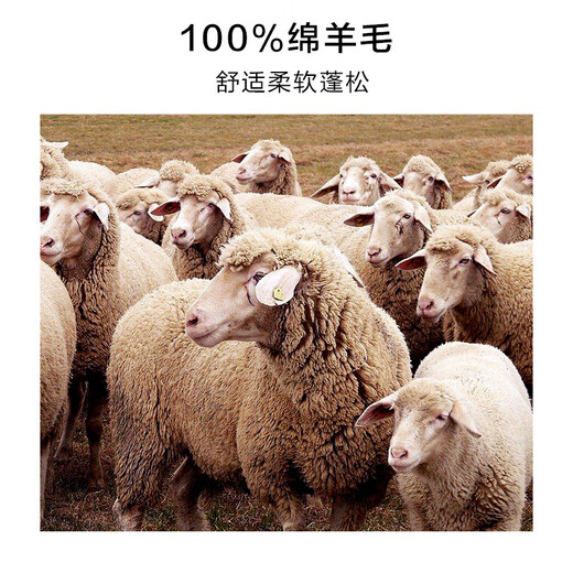 Mr. Bu's retro semi-high stand-up collar wool cardigan for men 2025 winter new versatile sweater jacket thickened and warm BT16960 dark floral gray 2XL (185)