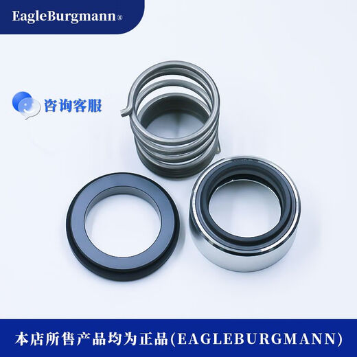 Borgman Deutschland importiert ETNYNTT Hochtemperatur Thermische Ölpumpe Mechanische Dichtung 14404 Welle Dichtung M32N2470-00-RAQ1VGG Borgman