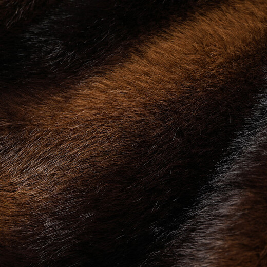 Woodpecker (TUCANO) cotton-padded jacket for men 2025 winter new style men's detachable large fur collar Northeastern cotton-padded jacket thick coat dad cold-proof fleece jacket navy blue plus velvet thickening XL