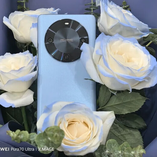 Huawei Smart Selection 5G mobile phone Maimang 30, RMB 500 discount, new model will be launched in 2025, 24 installments of interest-free, curved screen, 6100mAh, large battery, new model will be launched in 2024, new genuine AI, low price to attract traffic, Yaojin Black, 12GB+256GB, 12 installments of white strips, interest-free, free broken screen insurance + store extended warranty