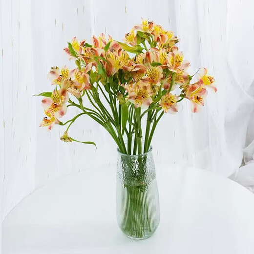 Narcissus lily flowers alstroemeria orange orange red Yunnan base fresh straight hair bloom fast and long flowering period 10 narcissus lilies (wake up the flowers first when they arrive, only 1-2 leaves can be left)