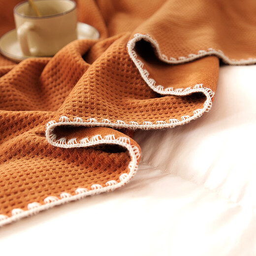 TURBOSUN blanket winter thickened plus velvet single person can sleep naked ins milk plush blanket office nap shawl air conditioner cover waffle milk white Class A cat petting feel does not shed velvet 200x230cm double blanket