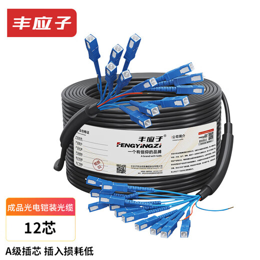 Fengyingzi single-mode armored optical cable with power integrated line finished product 12-core optical fiber SC+2-core 1.5 power cord 300 meters FYZ-GYXTW-12B1-2*1.5
