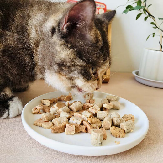 Inaba Cat Snacks Miaohao Grilled Fish Duoduo Pet Snacks Cat Biscuits with Chicken Breast Grilled Seafood Sandwich Dried Fish 12 Packs Flavor Mix