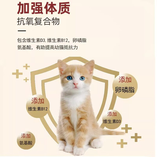 Norwegian Xiaoyu Rural Cat Food Ordinary Kittens Special Food for Domestic Cats Chinese Pastoral Cat Orange Cat Adult Cat 20 Jin Jin equals 0.5 kg Affordable Pack Standard 10kg_(20 Jin Jin equals 0.5 kg 2 bags in total)_Deep Sea Fish Flavor Camp