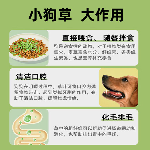 Greedy Horse Dog Straw Dog Snacks Wheat Straw Dog Snacks for Lazy People No Soil, Cleans Teeth, Fresh Breath Dog Snacks 2 Boxes