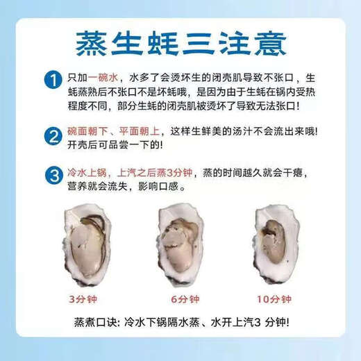 Fresh Rushan oysters, fresh oysters, 5 Jin Jin equal to 0.5 kg box, 4XL large oysters (9-14 pieces per box), net weight 5 Jin Jin, equal to 0.5 kg oysters