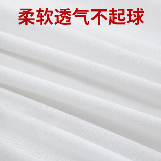 Ze Hongzheng white sheets military training single dormitory sheets thickened housekeeping sheets 105*210cm white