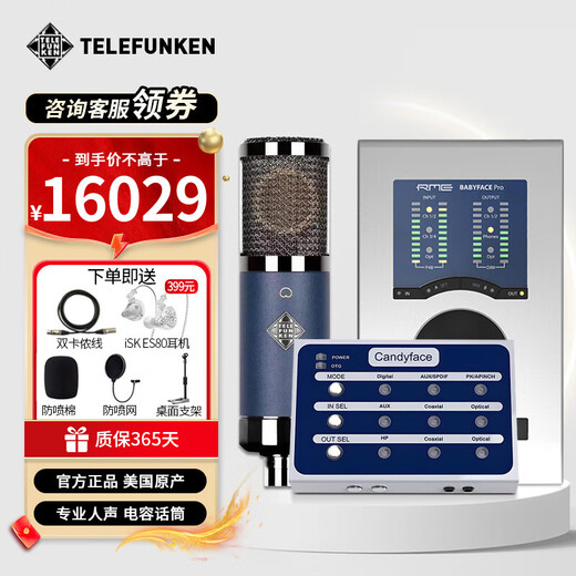 Telefunken TF11 large diaphragm cardioid condenser microphone live recording microphone imported microphone professional performance singing wired microphone anchor live singing equipment Telefunken TF11+baby face+candy face