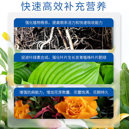 Huaduoduo No. 1 Huaduoduo No. 2 No. 10 flower fertilizer universal water-soluble fertilizer for flowers and green plants potted plants flowering fertilizer Huaduoduo No. 2 200g*2 bottles + watering can + small spoon