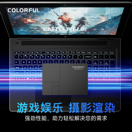 七彩虹(Colorful)  500GB SSD固态硬盘 SATA3.0接口 SL500系列