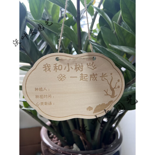 Yong Huan 10 pieces of custom-made wooden hanging tags for school Arbor Day tags tree adoption tags plant tags name cards grow with the trees 10 pieces