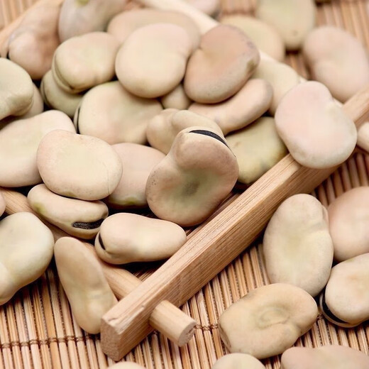 New Yunnan dry broad bean seeds, raw dry goods, peas, monkshood beans, fresh orchid beans, good goods, insect-free wholesale, Japanese large white broad beans, original 20 Jin Jin equal to 0.5 kg