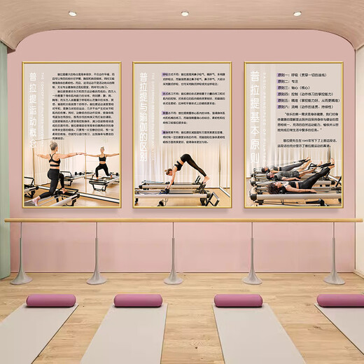 He Jiagong Pilates decorative painting Gym wall decoration hanging painting Bodybuilding studio body shaping Pilates promotion 15-How to practice Pilates 40 width x 60 height cm KT board + gold PVC edge same size