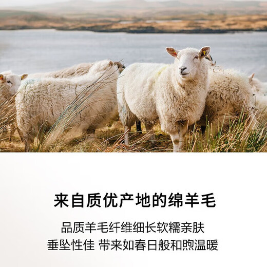 Baoye 2025 autumn and winter new style 100% wool knitted hooded zipper cardigan jacket for women Korean style loose sweater Rice Coffee One Size