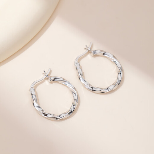 Yalundi Silver Earrings Women's Earrings Plain Rings Unique and Beautiful Earrings Women's 2025 New High-Quality Light Luxurious Earrings Earrings Buckle Jewelry