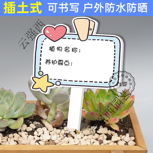 Kindergarten plant label insert card plant care card DIY plant care card card school plant corner logo 05 blank card 9MMPVC covered with crystal film 10x16cm