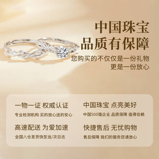 Chinese Jewelry Pure Silver Couple Ring for Men and Women Seeking Engagement Rings Diamond Rings Practical Commemorative Birthday Gifts for Girlfriends