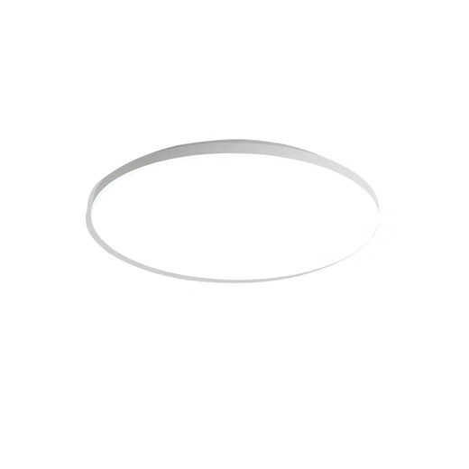 Baishian Fire Emergency Lighting Emergency Ceiling Light Evacuation Channel Lighting Corridor Shopping Mall Power Outage Emergency Light 30CM Induction Model 12W