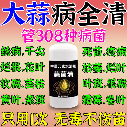 Garlic Bacteria Cleaner Original Liquid for Garlic Planting, Special for Onion, Ginger, and Garlic Ganjianling, which removes yellow leaf root rot and foliar fertilizer. One bottle of garlic bacteria cleaner.