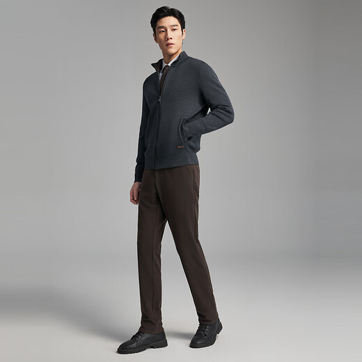 Youngor Machine Washable Wool Autumn and Winter Men's New Stand Collar Business Casual Warm Sweater Jacket 619962C